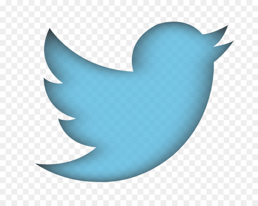 Logo Twitter Biru，Media Sosial PNG