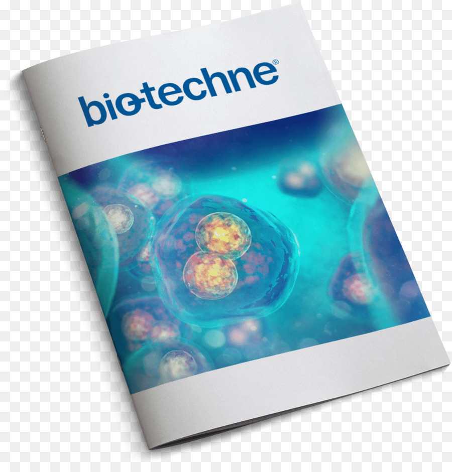 Perusahaan，Biotechne PNG