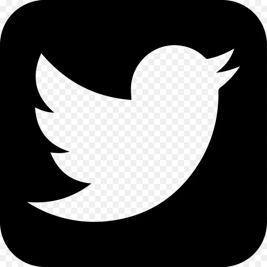 Logo Twitter，Burung PNG