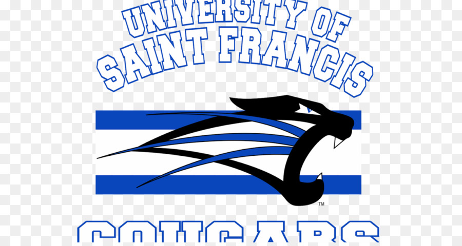 Universitas Santo Fransiskus，Saint Francis Puma Basket Pria PNG