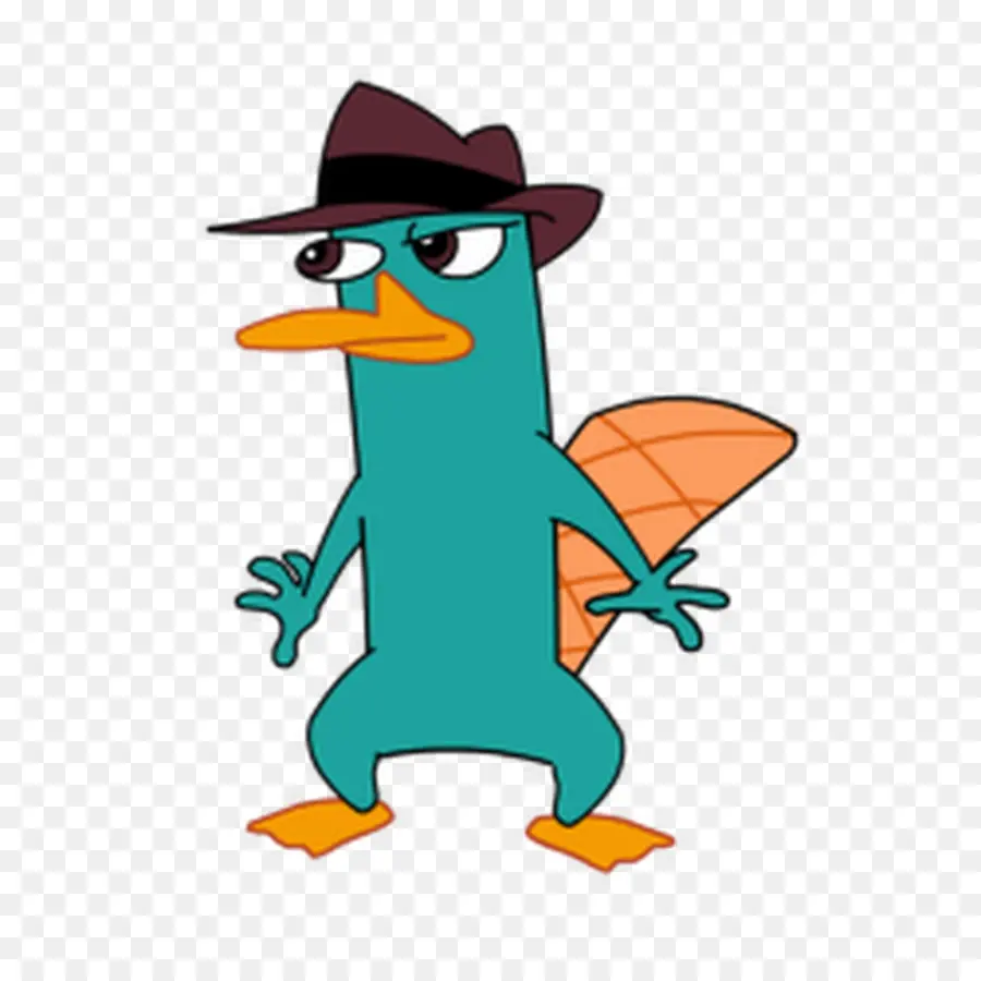 Perry Si Platipus，Platipus PNG