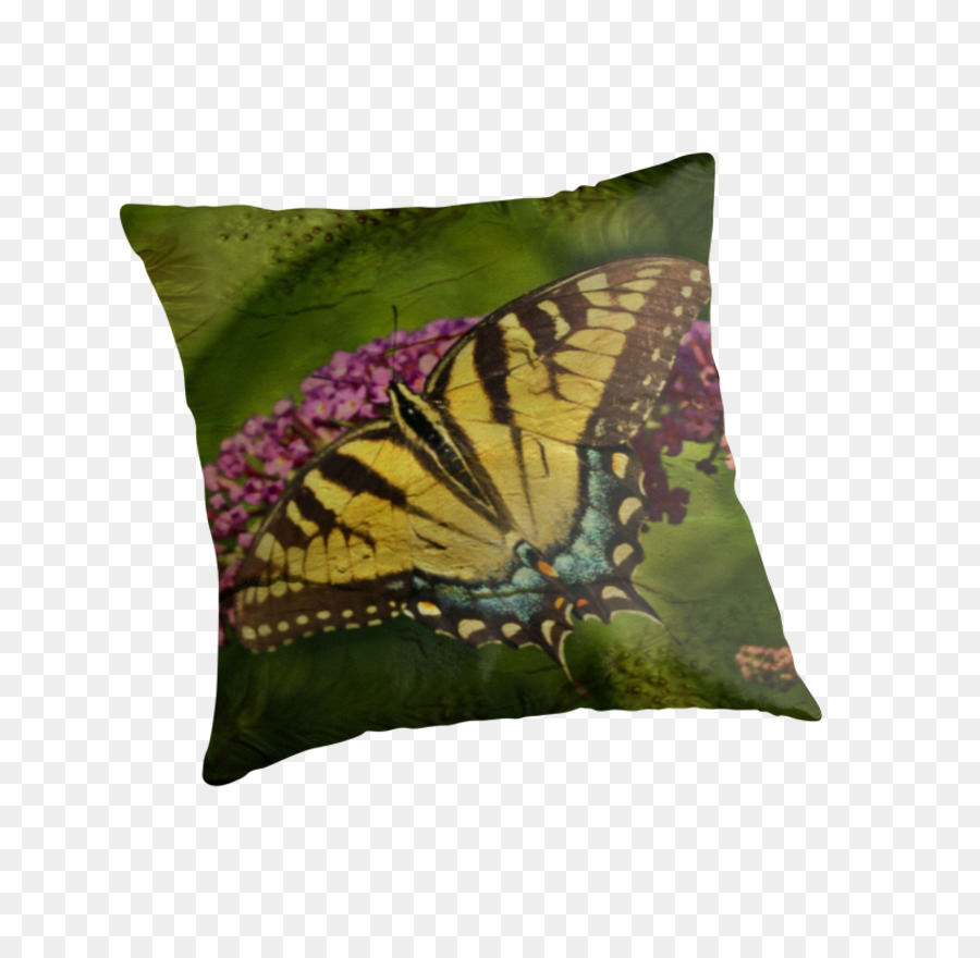 Kupu Kupu Monarch，Bantal PNG