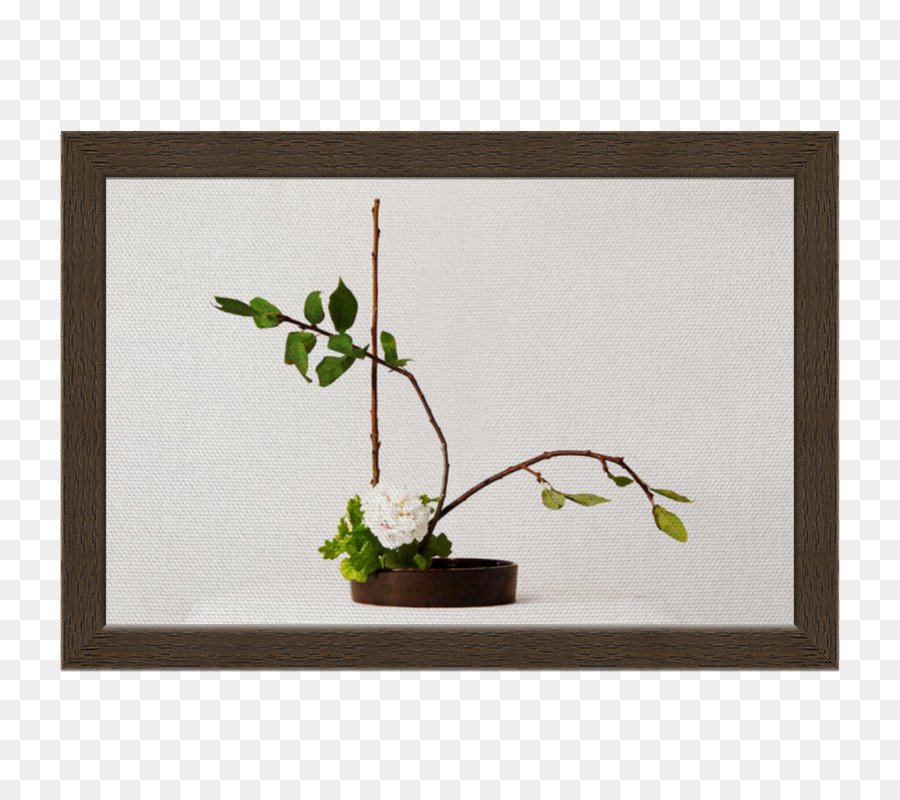 Ranting，Ikebana PNG