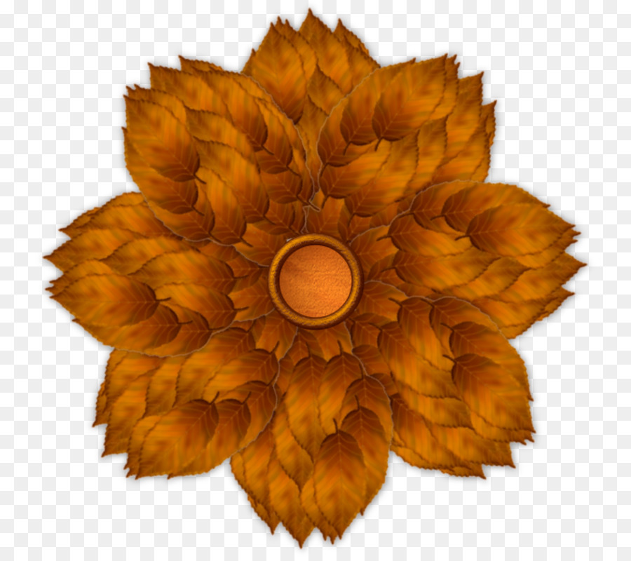 Bunga，Blume PNG