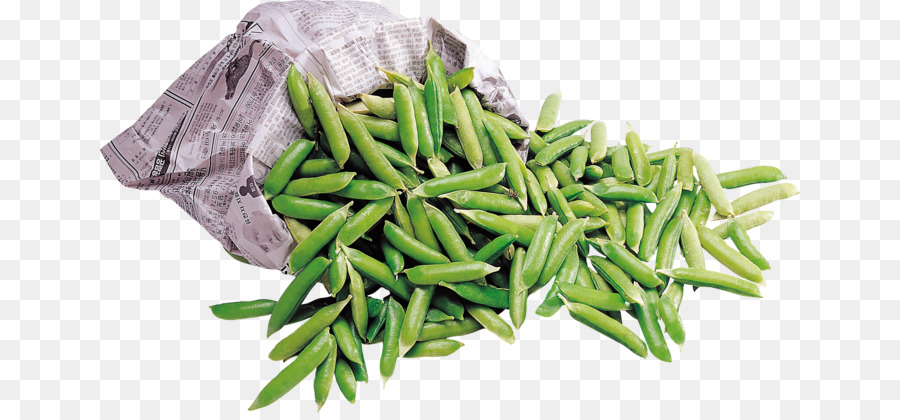 Kacang Hijau，Umum Bean PNG