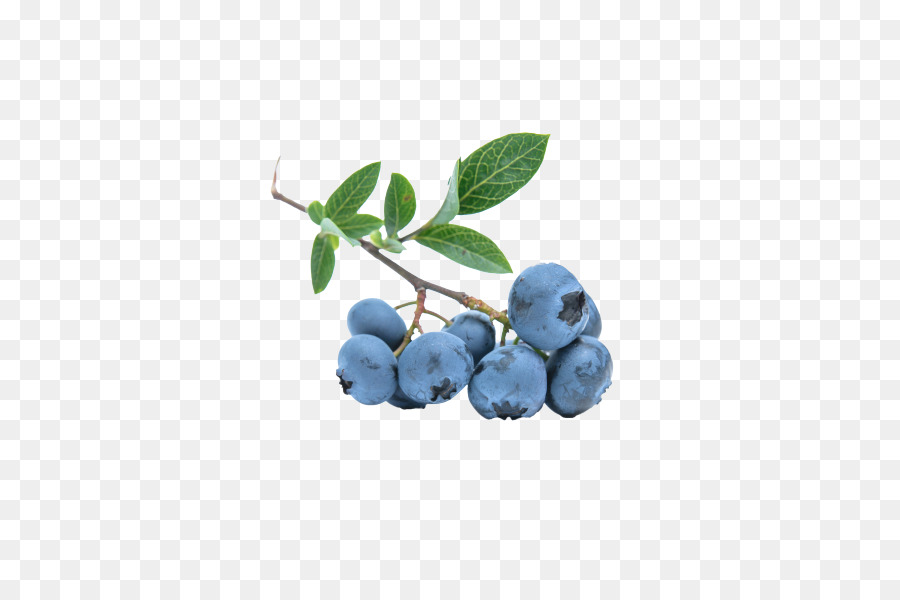 Blueberry，Beri PNG