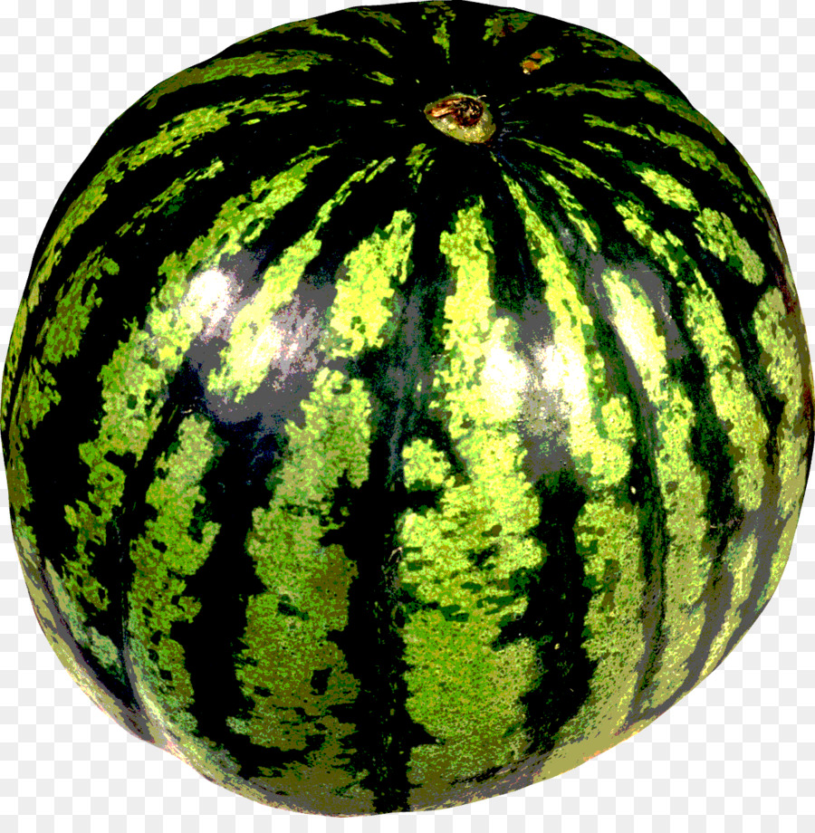 Semangka，Melon PNG