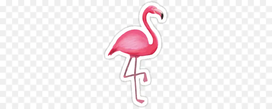 Flamingo，Burung PNG