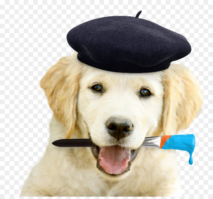 Anjing Dengan Kuas，Baret PNG