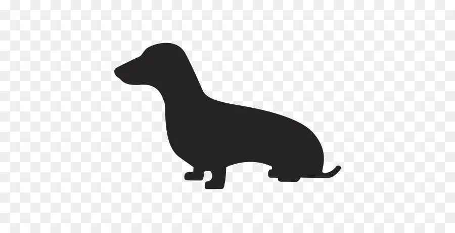 Dachshund，Anjing Berkembang Biak PNG