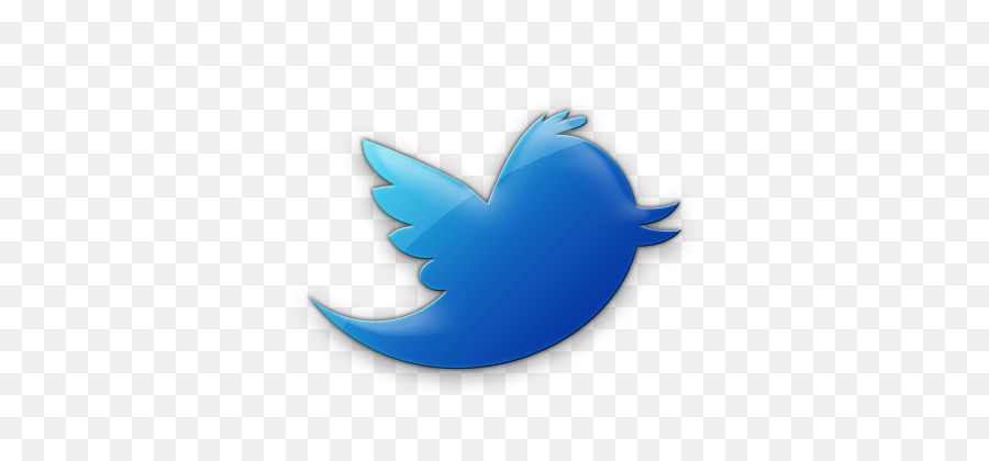 Logo Twitter Biru，Media Sosial PNG