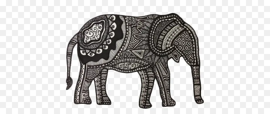 Gajah India，Gajah Afrika PNG