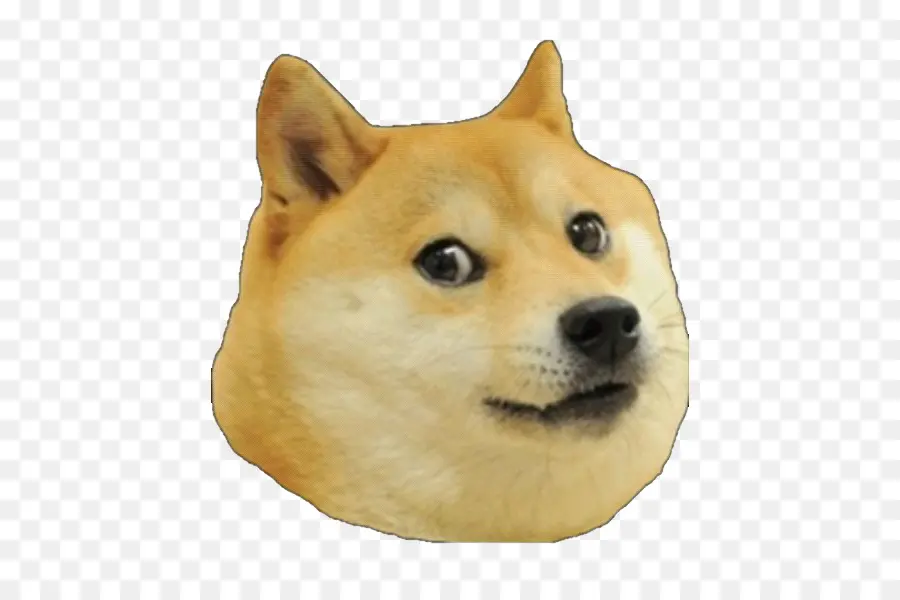 Shiba Inu，Peliharaan PNG