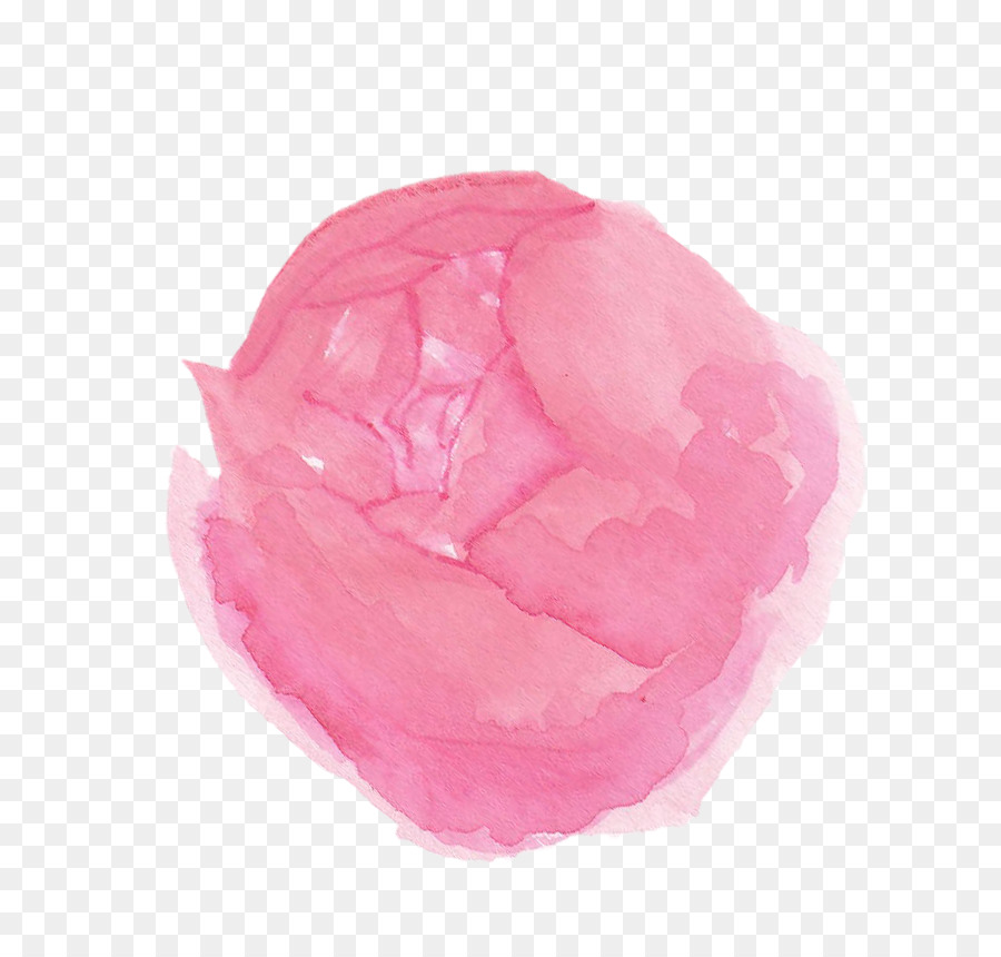 Rosaceae，Pink M PNG