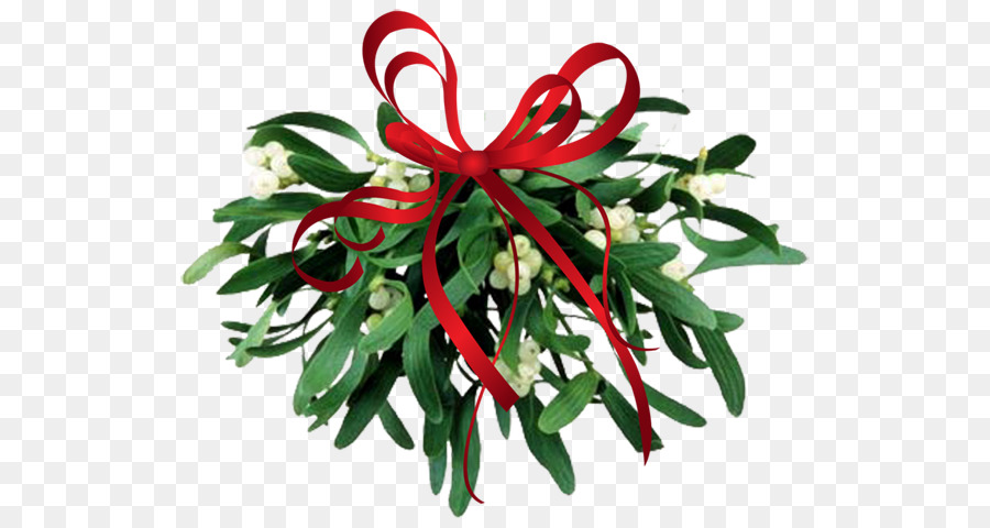 Mistletoe，Pita Merah PNG