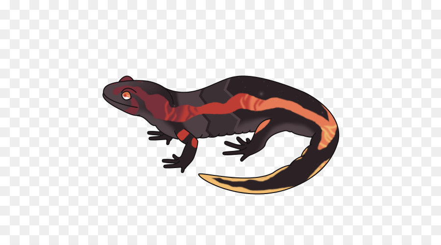 Salamander，Reptil PNG