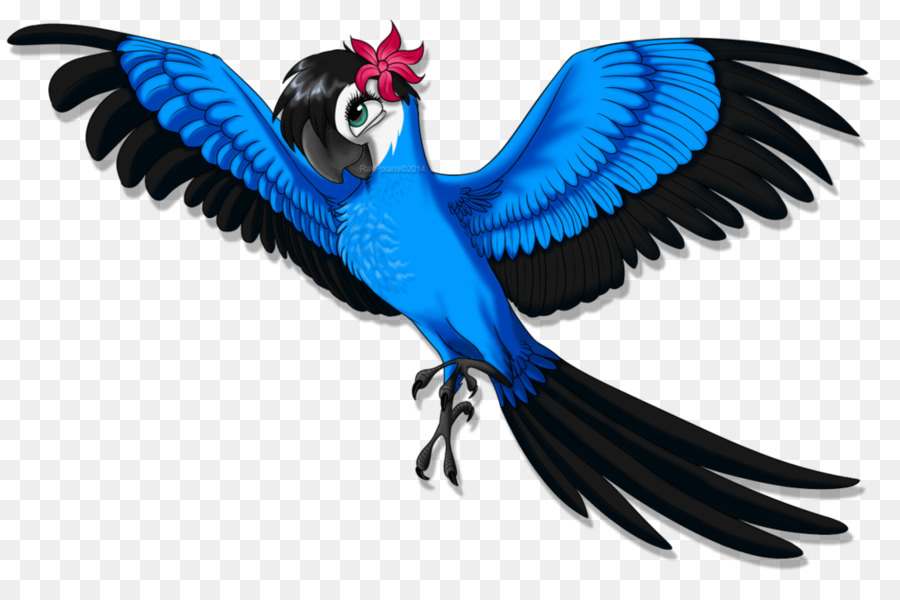 Macaw，Permata PNG