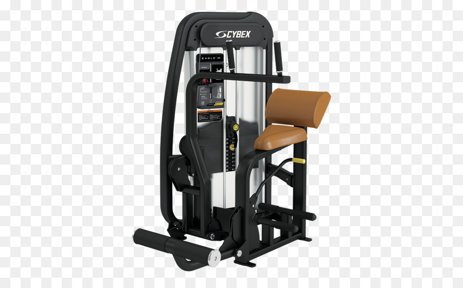 Cybex Internasional，Krisis PNG