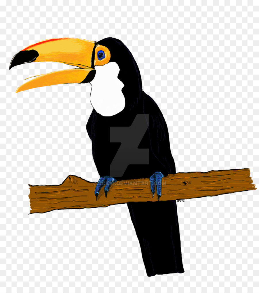 Burung Toucan，Paruh PNG