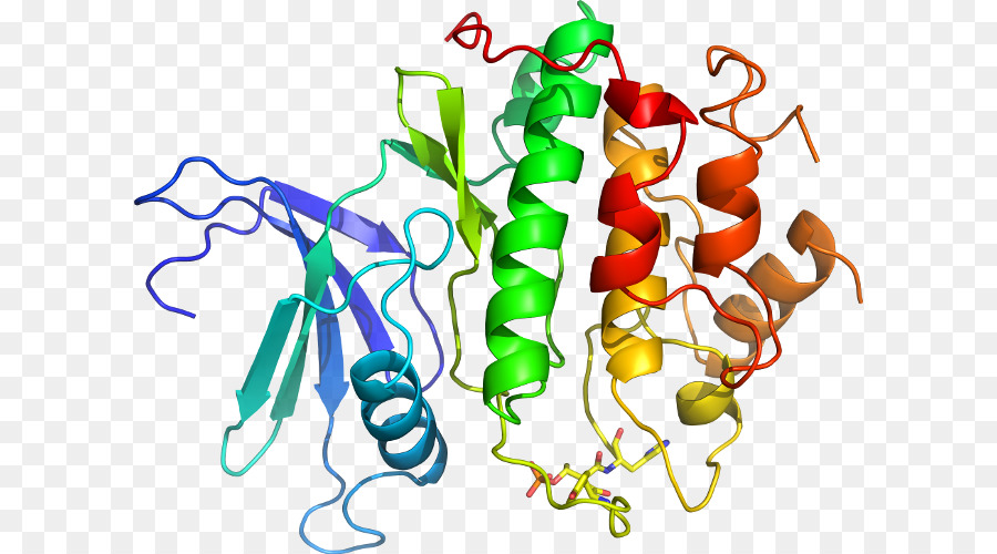 Struktur Protein，Molekul PNG