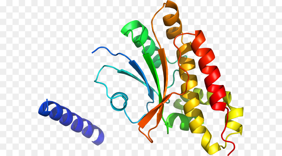 Struktur Protein，Biologi PNG