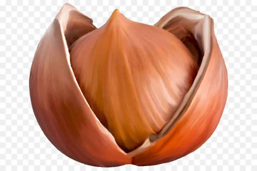 Kemiri，Kacang PNG