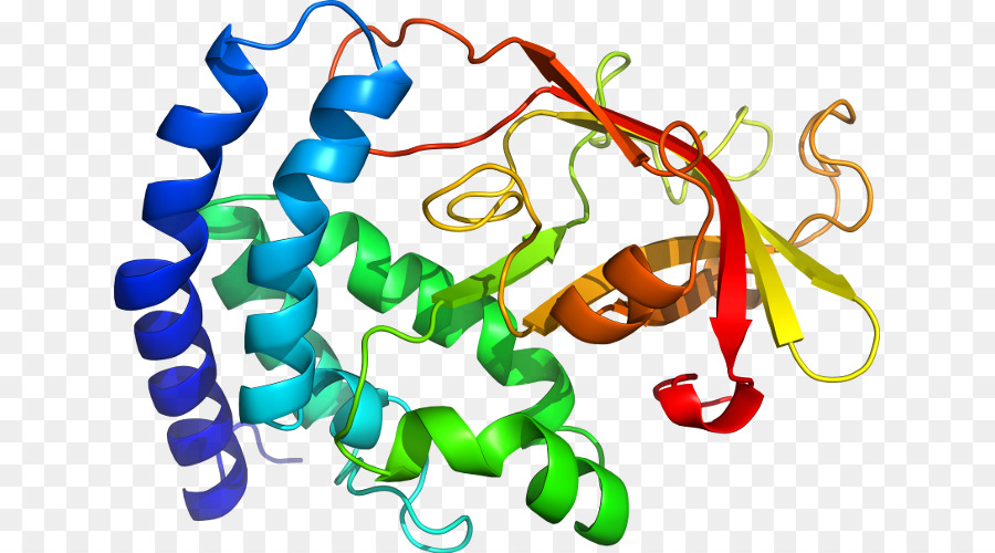 Struktur Protein Berwarna Warni，Protein PNG