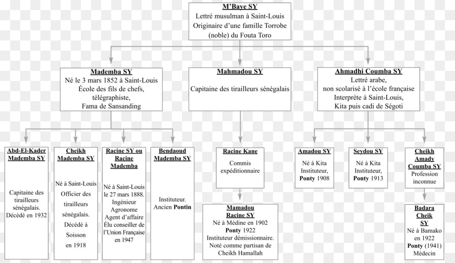 Kertas，Organisasi PNG