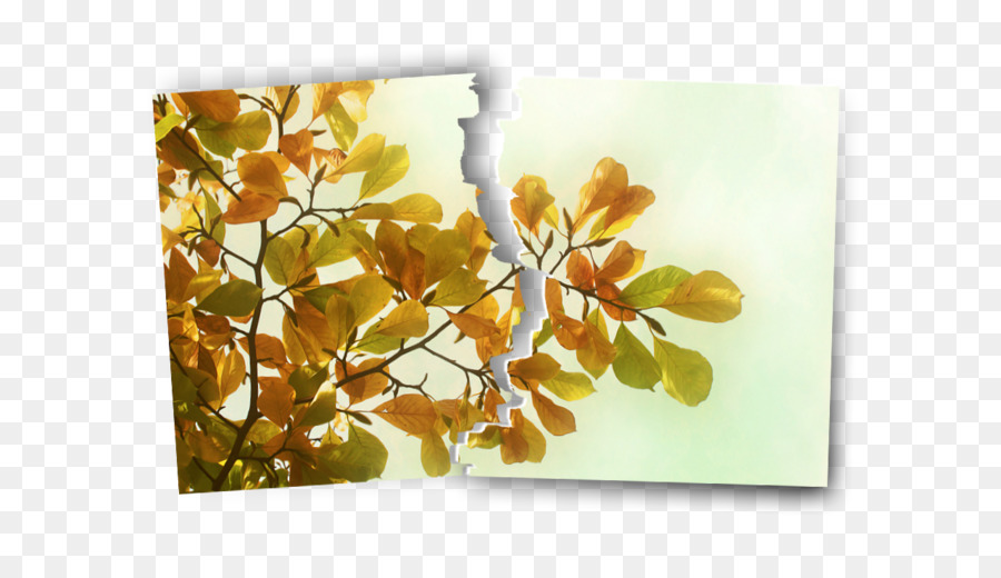 Desktop Wallpaper，Musim Gugur PNG