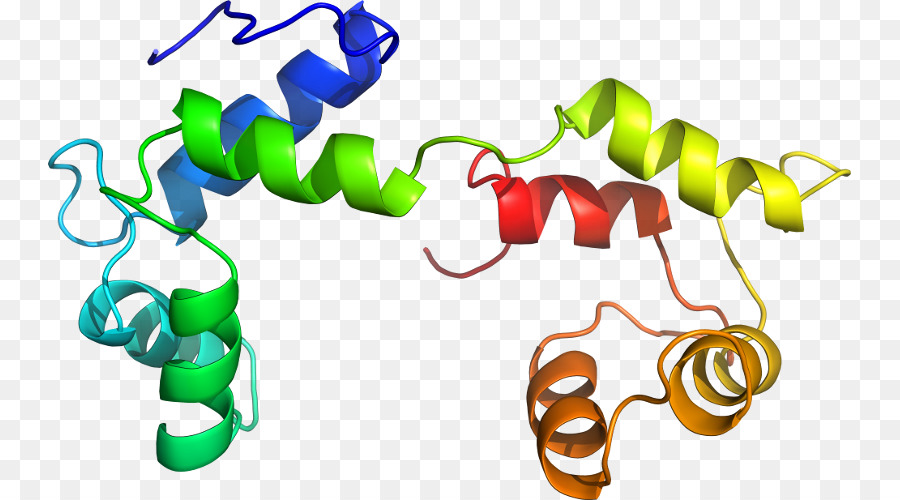 Heliks Protein，Molekul PNG