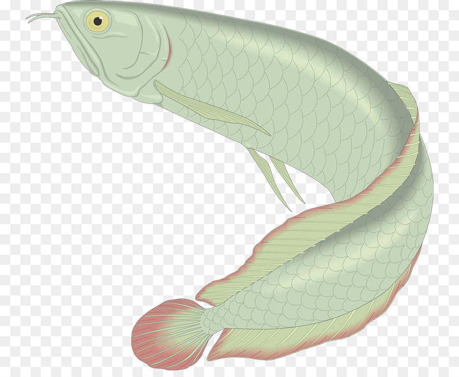 Ikan，Biru PNG