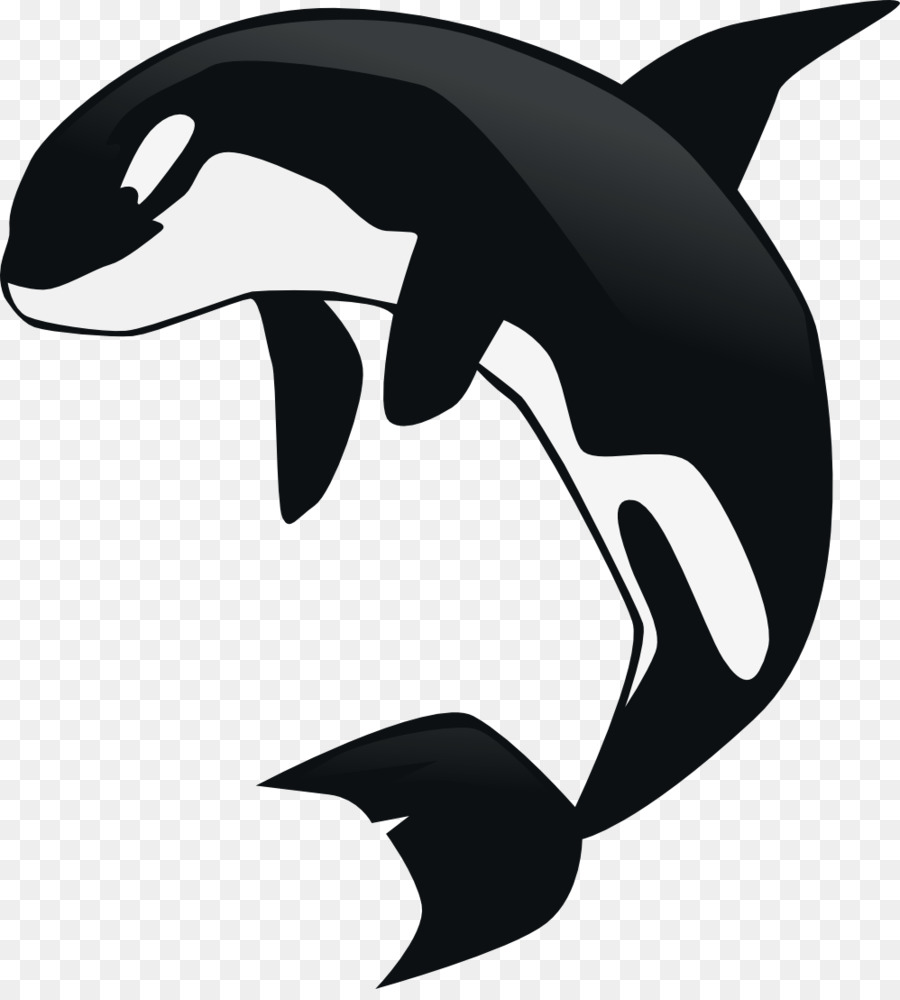 Orca，Paus PNG