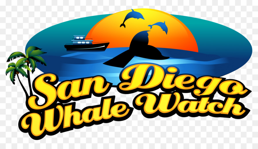 San Diego Whale Watch，Menonton Ikan Paus PNG