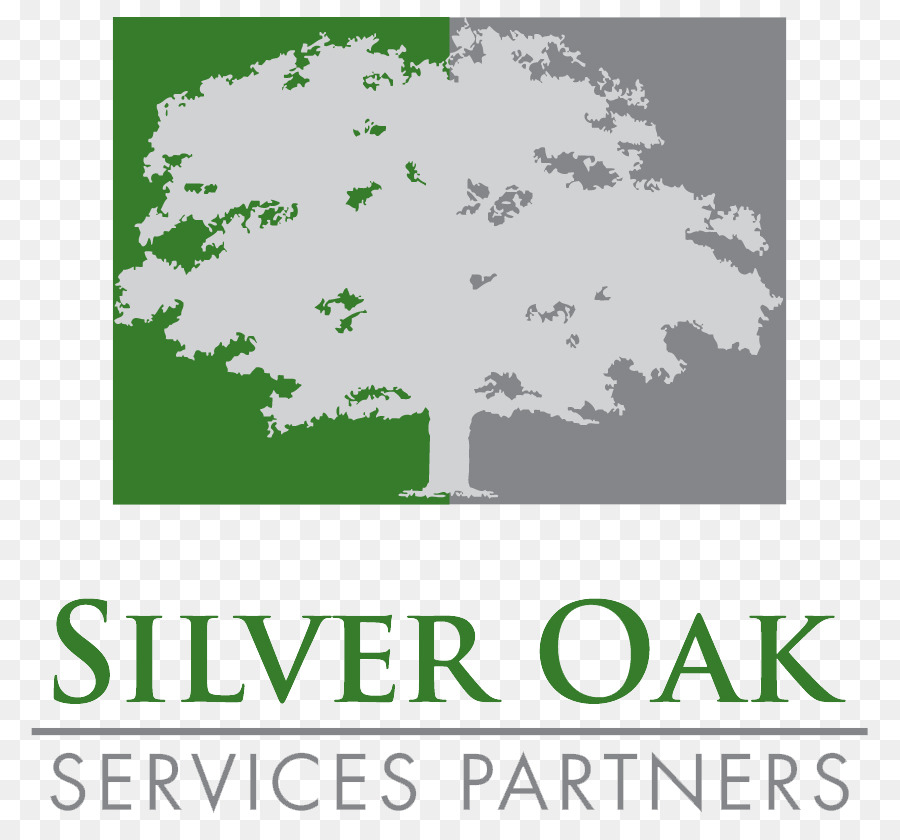 Silver Oak Jasa Partners Llc，Forum Mitra Modal PNG