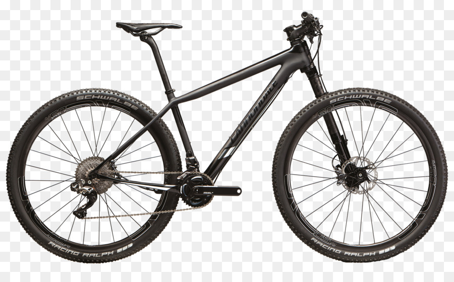 Cannondale Sepeda Corporation，Sepeda Gunung PNG
