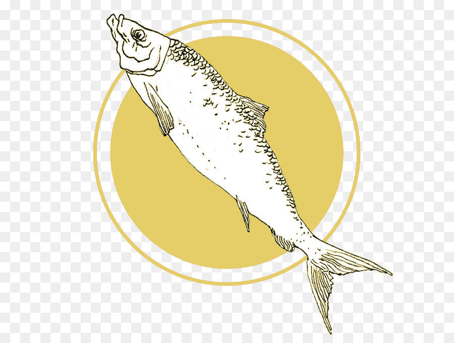 Sarden，Ikan PNG