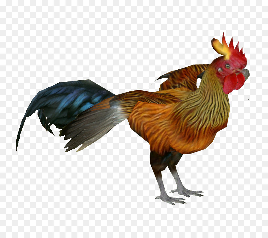 Pertarungan Ayam Jantan，Bulu PNG