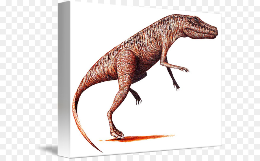 Tyrannosaurus，Velociraptor PNG