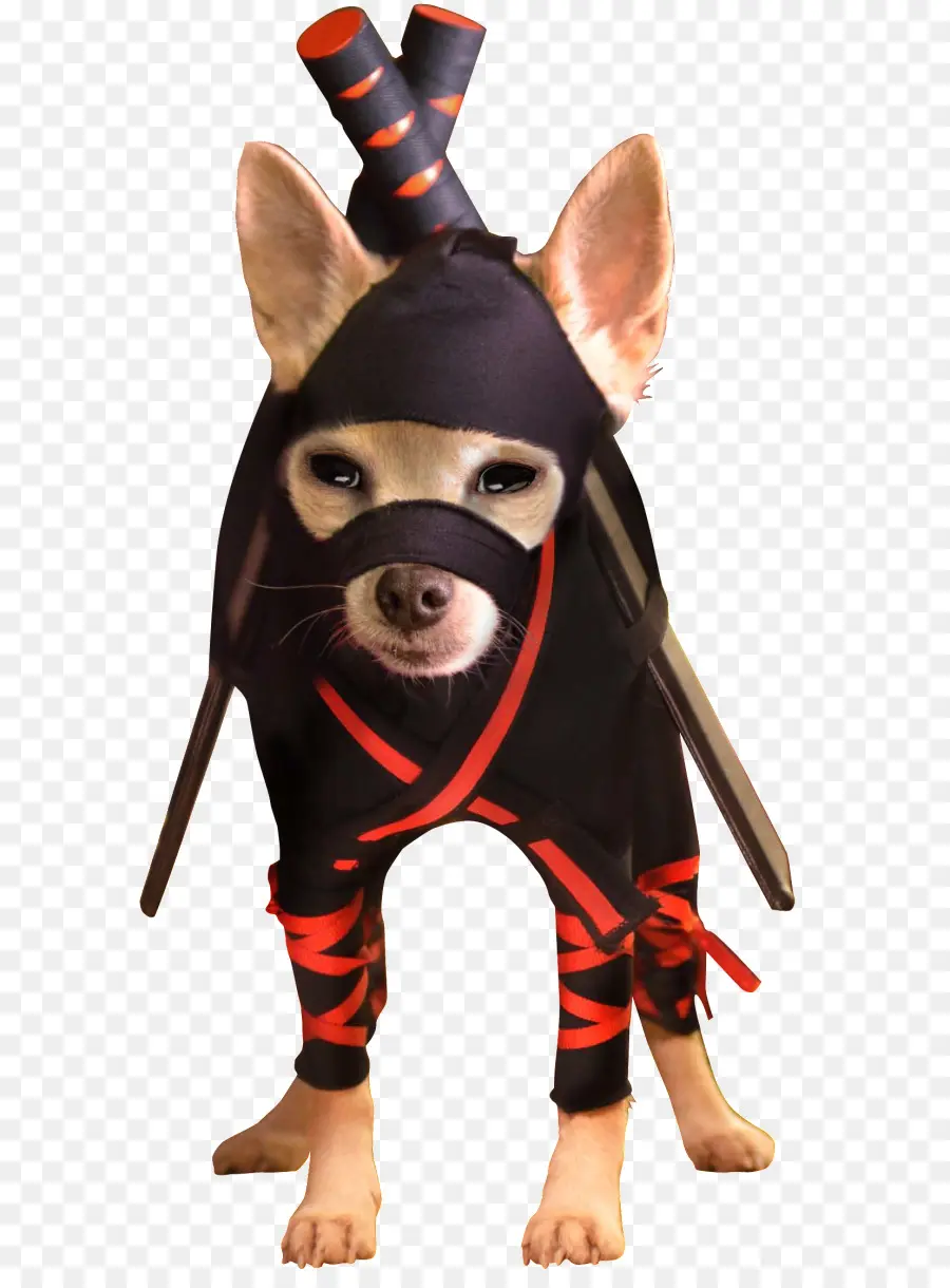 Anjing Ninja，Kostum PNG