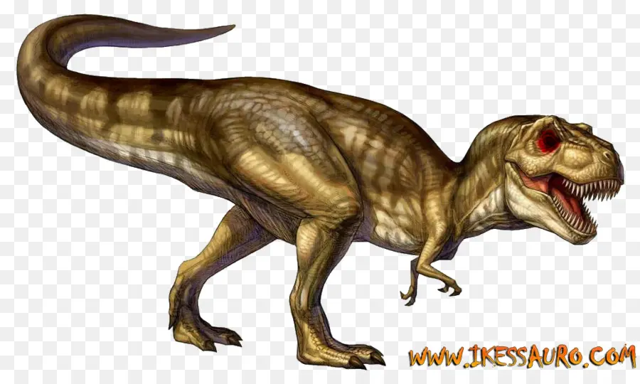 T Rex，Prasejarah PNG