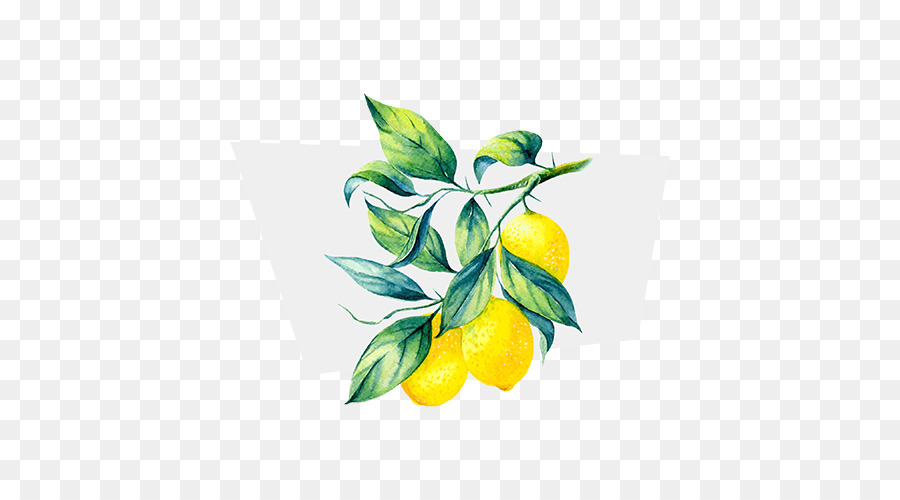 Lemon，Terpena PNG