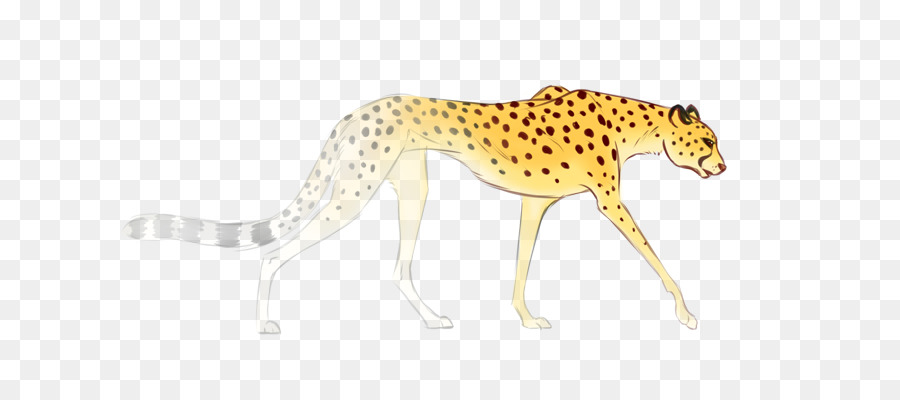 Cheetah，Bintik Bintik PNG