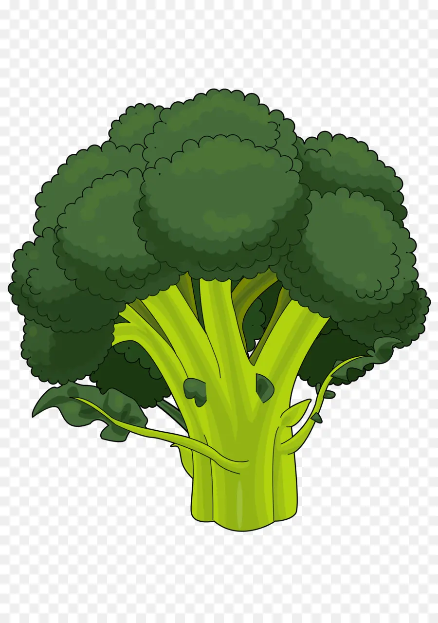 Brokoli，Gambar PNG
