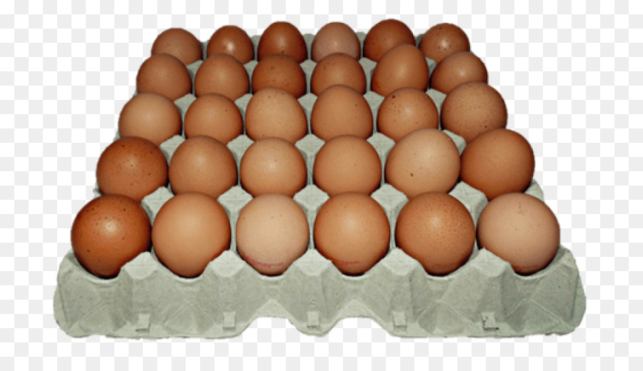 Telur，Kotak PNG