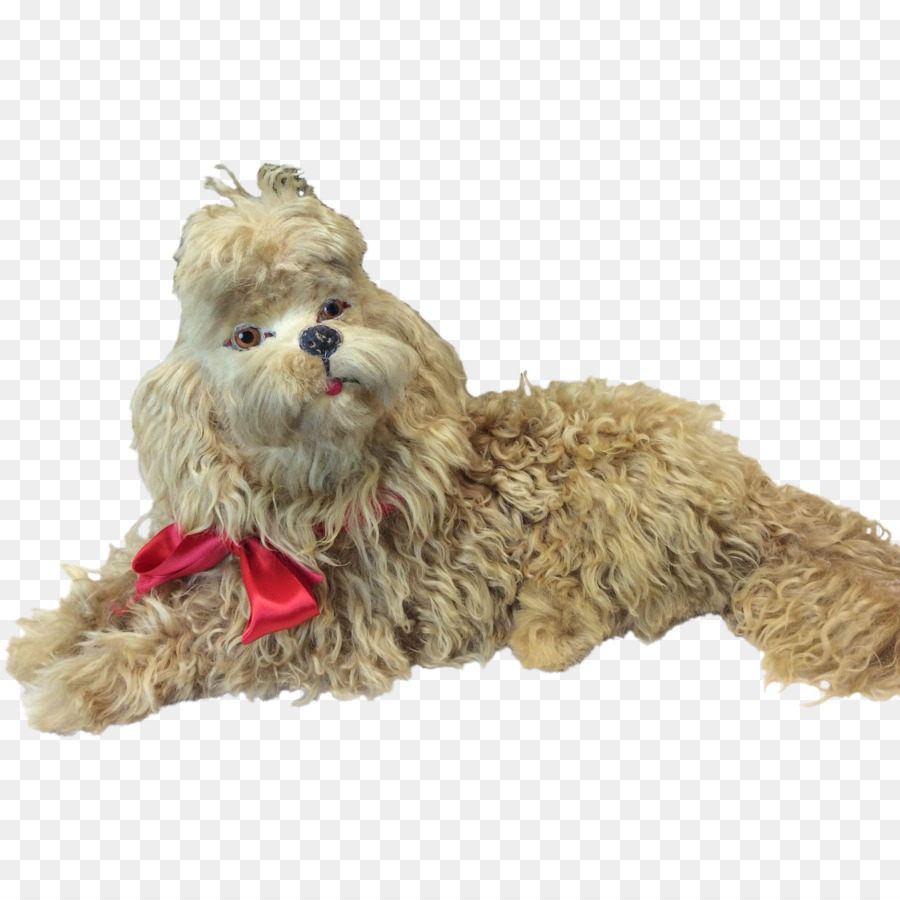 Anjing Berkembang Biak，Shih Tzu PNG