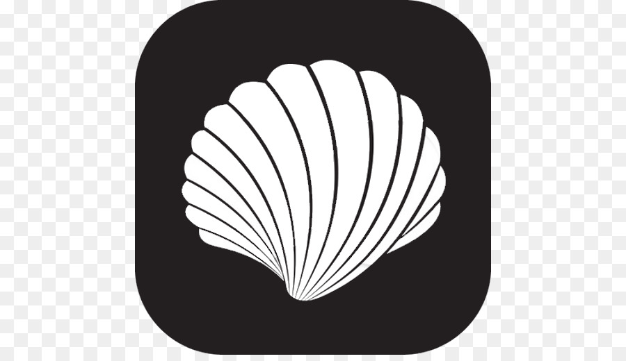 Kerang，Royaltyfree PNG