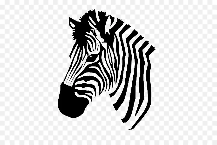 Zebra，Garis Garis PNG