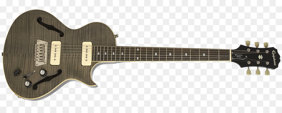 Gibson Blueshawk，Epiphone Sheraton PNG