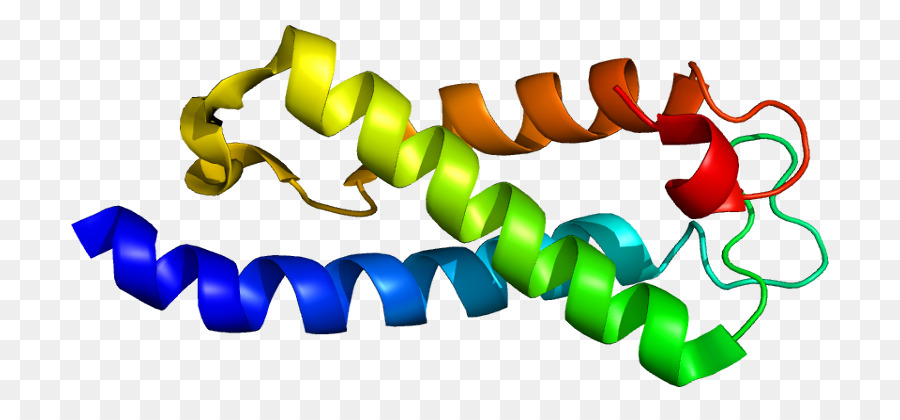 Heliks Protein，Molekul PNG