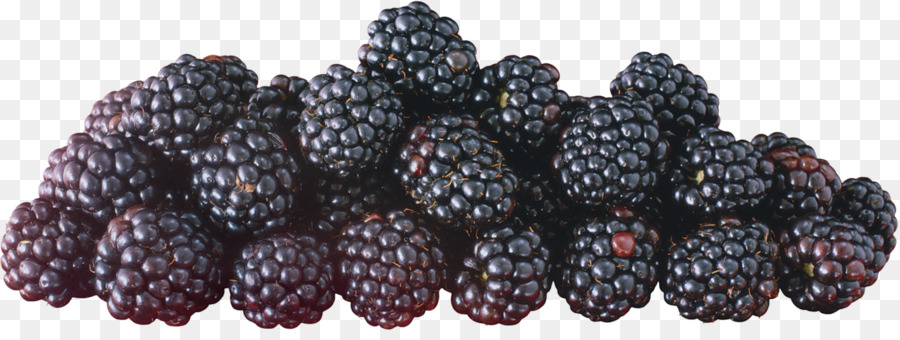 Blackberry，Buah Beri PNG